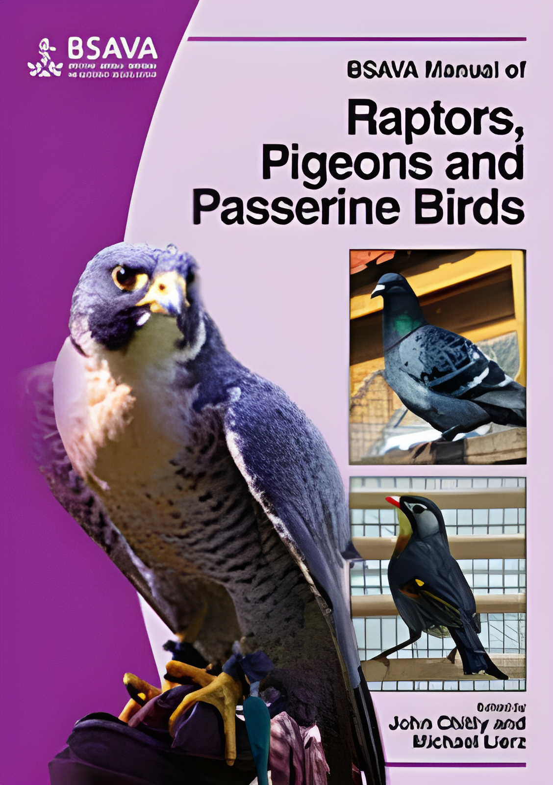 BSAVA Manual of Raptors, Pigeons and Passerine Birds