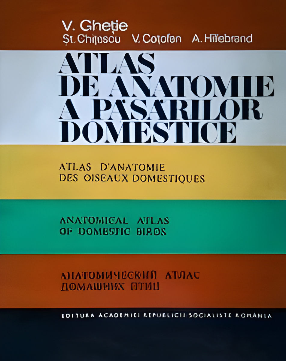 Ghetie Anatomical Atlas Of Domestic Birds