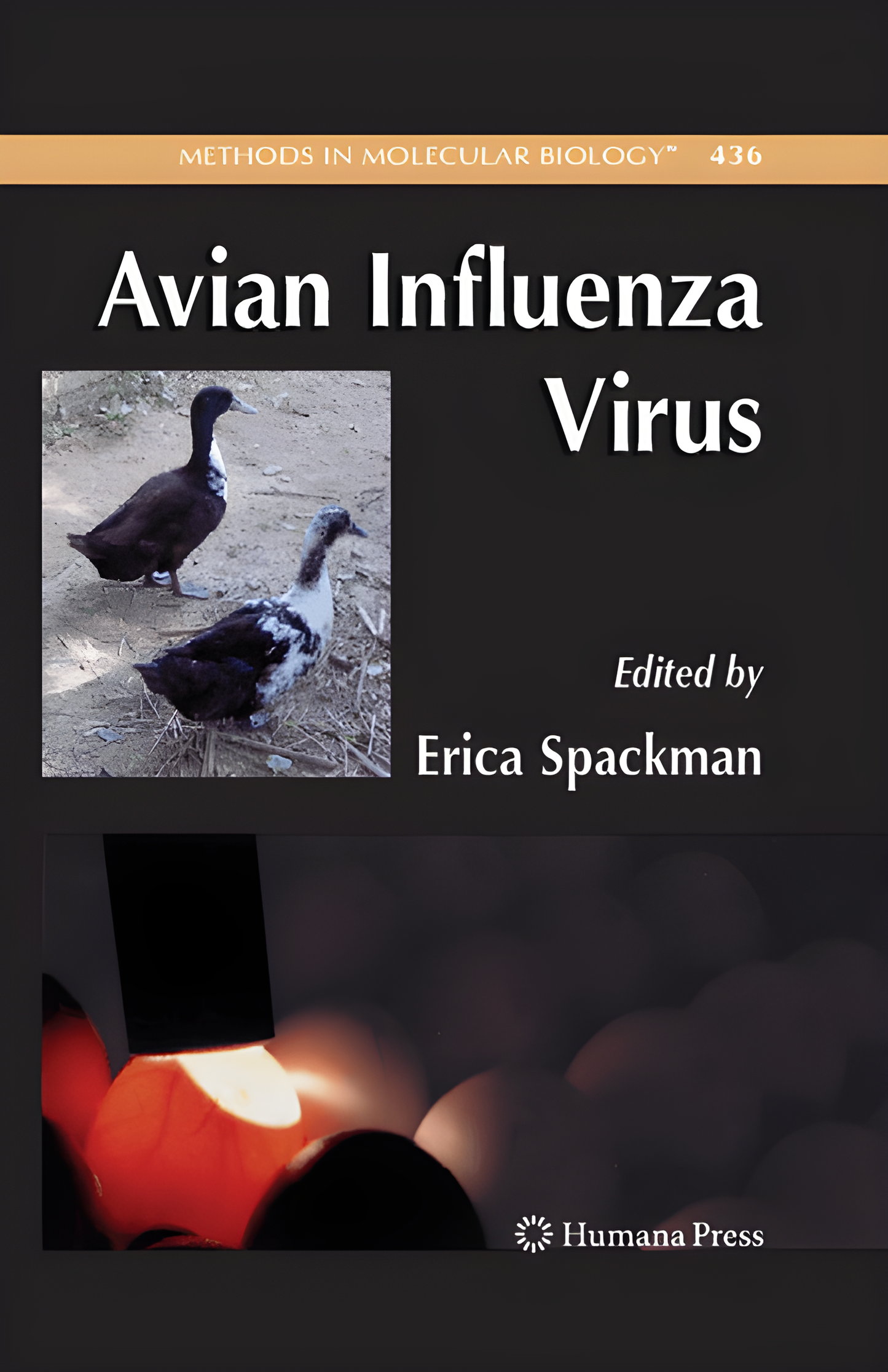 Avian Influenza virus