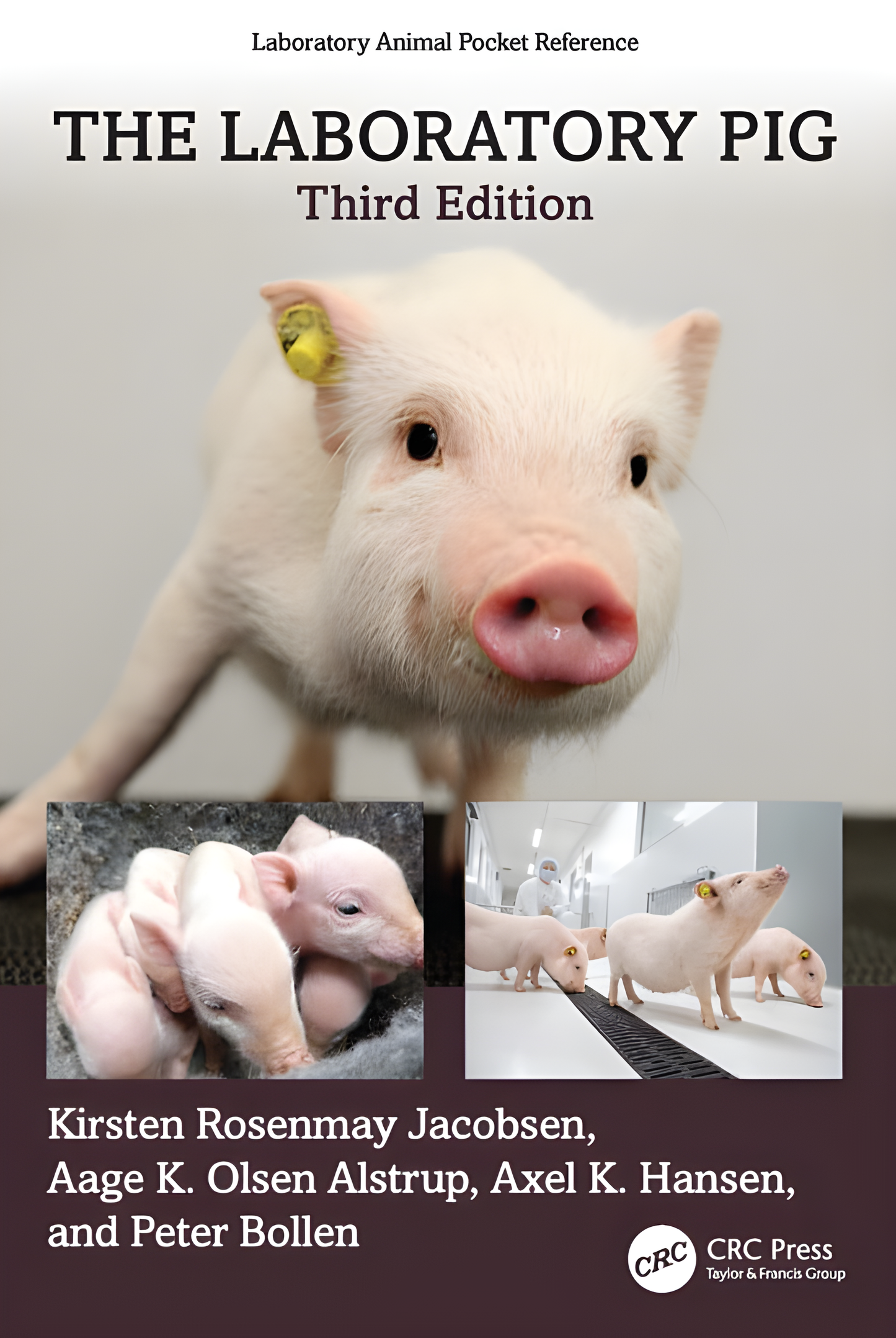 The Laboratory Pig, 3rd Edition