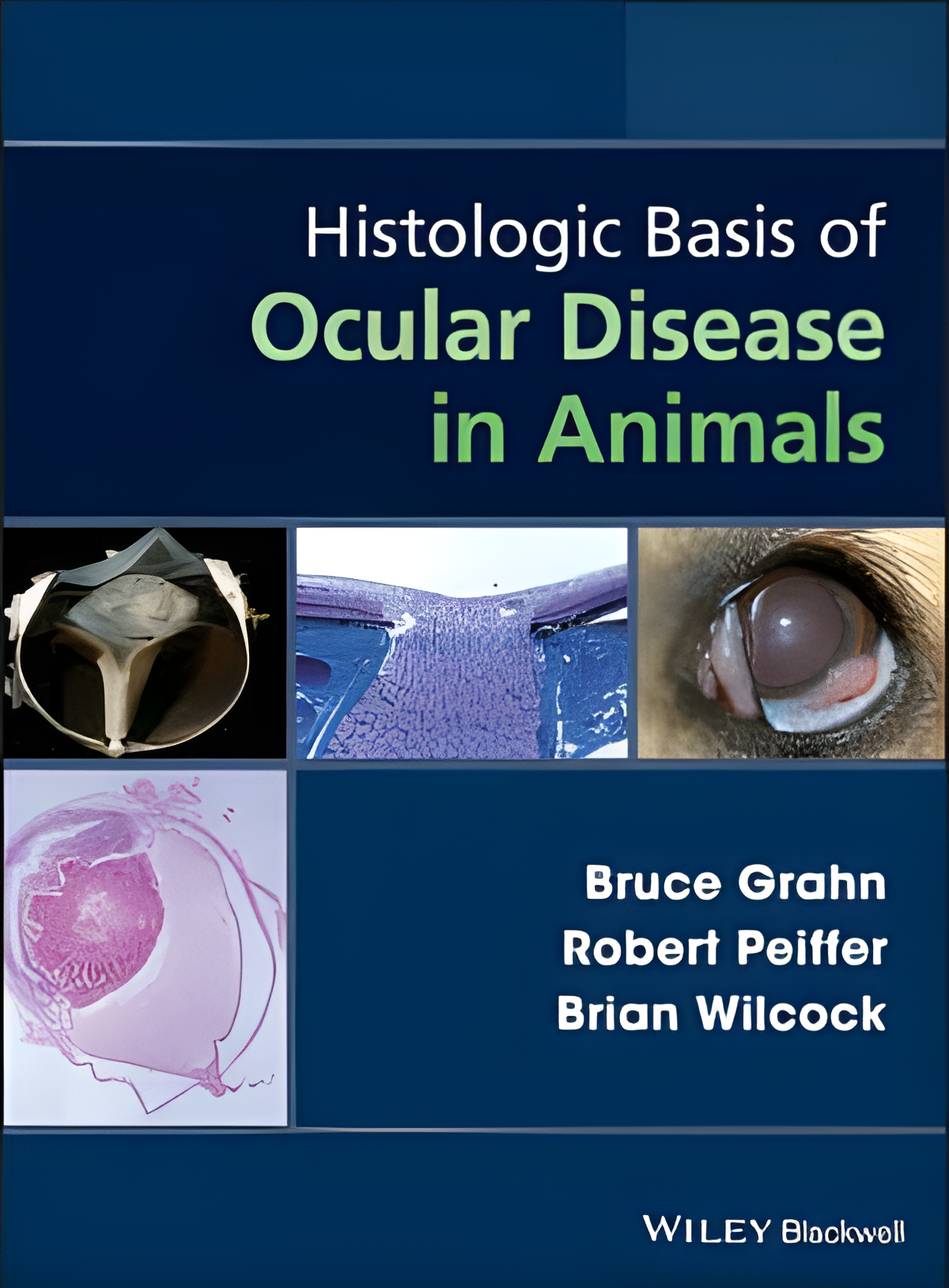 Histologic Basis of Ocular Disease in Animals