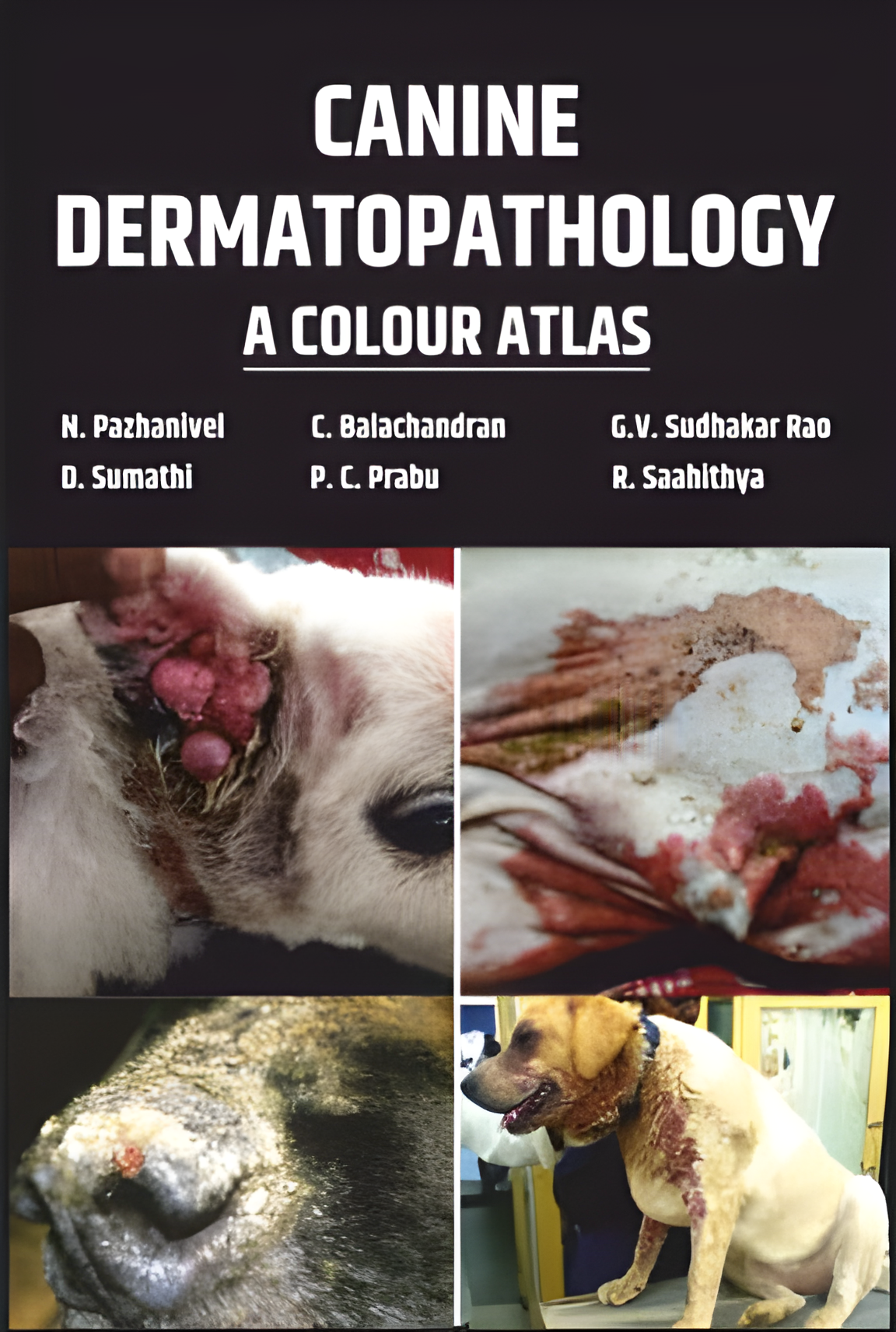 Canine Dermatopathology A Colour Atlas