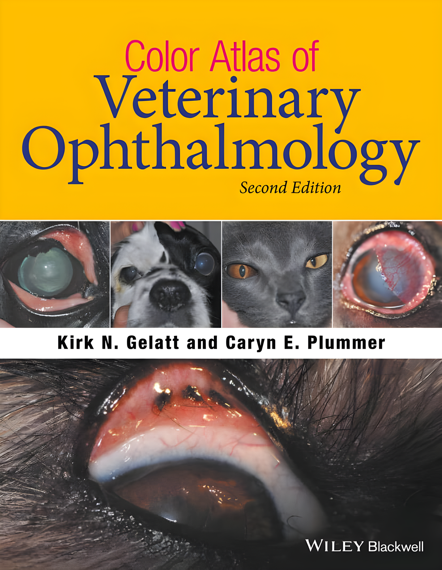 Color Atlas of Veterinary Ophthalmology, 2nd Edition