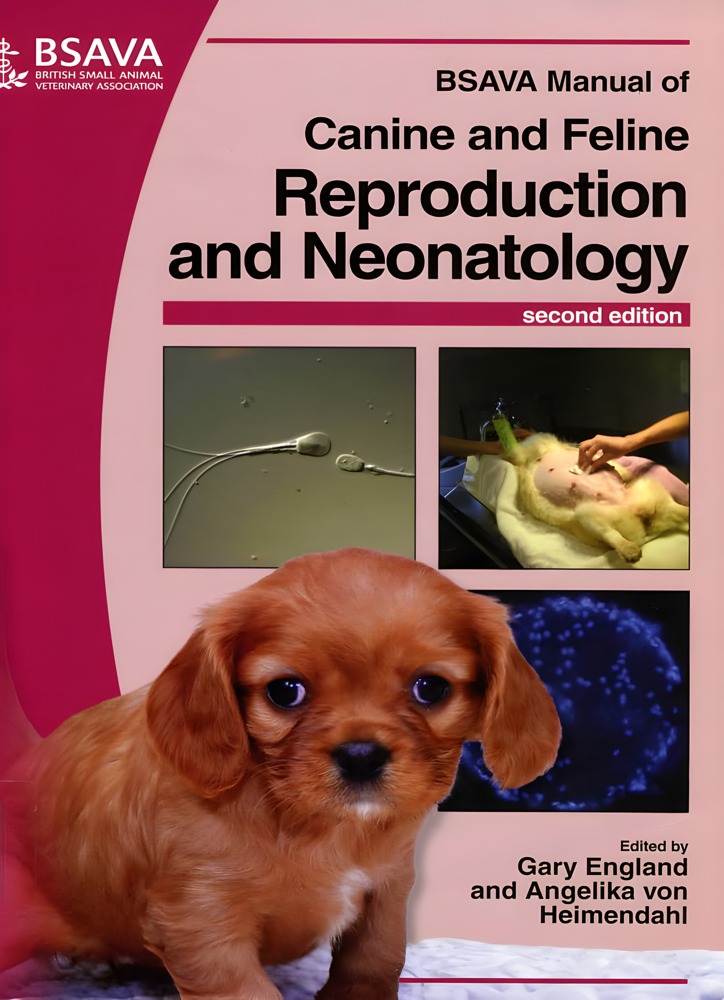BSAVA Manual of Canine and Feline Reproduction and Neonatology, 2nd Edition
