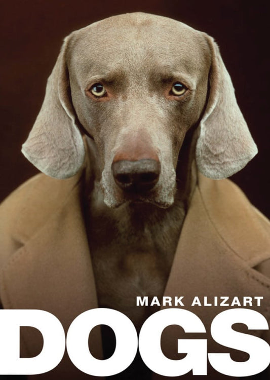Dogs A Philosophical Guide To Our Best Friends