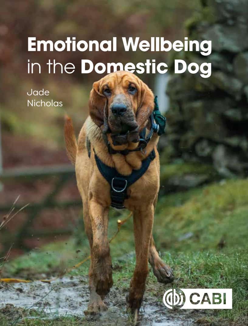 Emotional Wellbeing In The Domestic Dog
