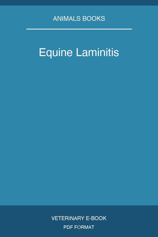 Equine Laminitis