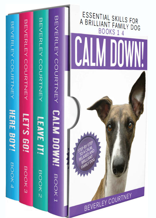 Essential Skills For A Brilliant Family Dog