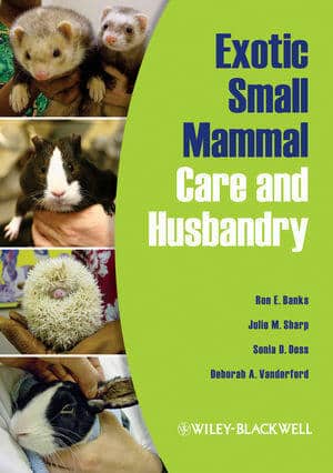 Exotic Small Mammal Care And Husbandry