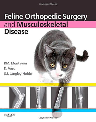 Feline Orthopedic Surgery And Musculoskeletal Disease