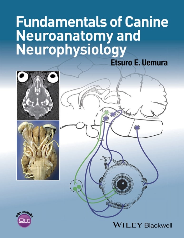 Fundamentals Of Canine Neuroanatomy And Neurophysiology