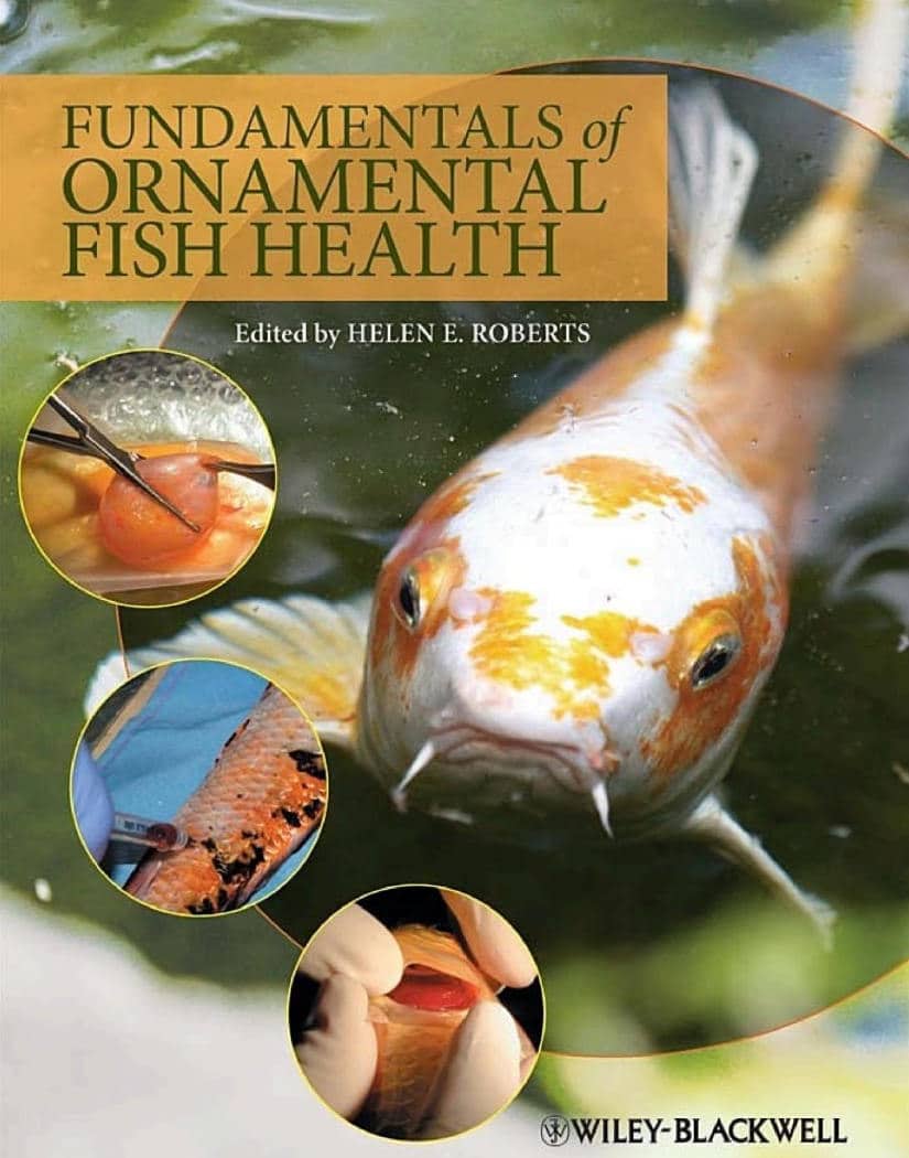 Fundamentals Of Ornamental Fish Health