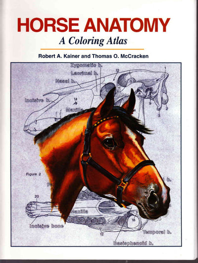 Horse Anatomy Coloring Atlas 2Nd Edition