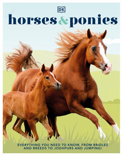 Horses and Ponies: Everything You Need to Know