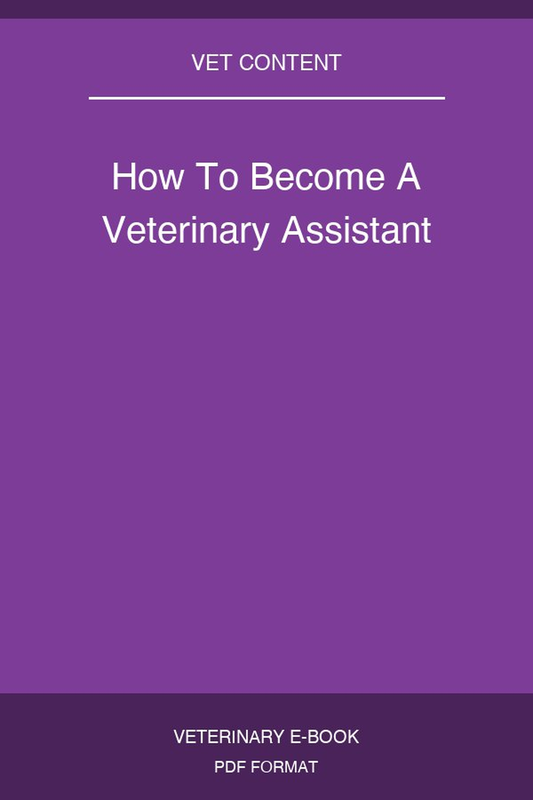 How To Become A Veterinary Assistant