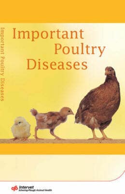 Important Poultry Diseases