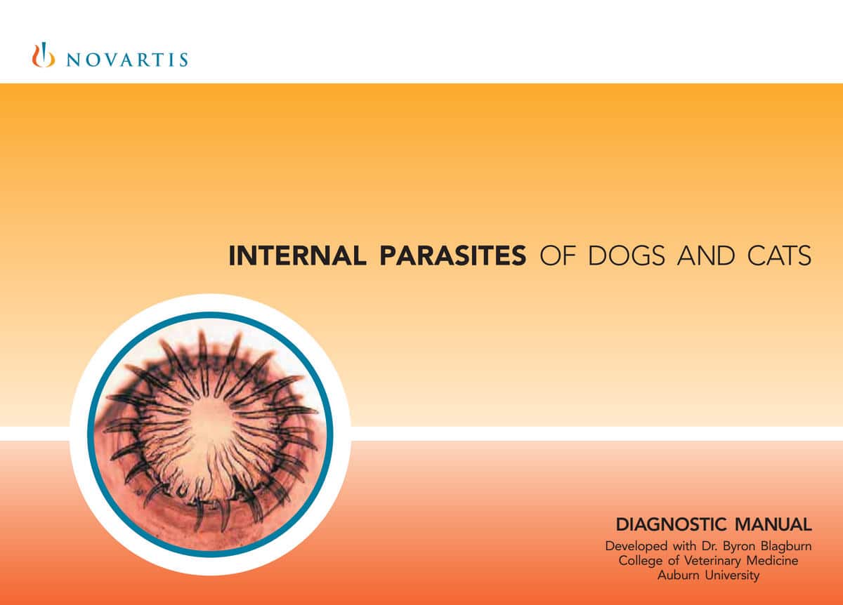 Internal Parasites Of Dogs And Cats Diagnostic Manual
