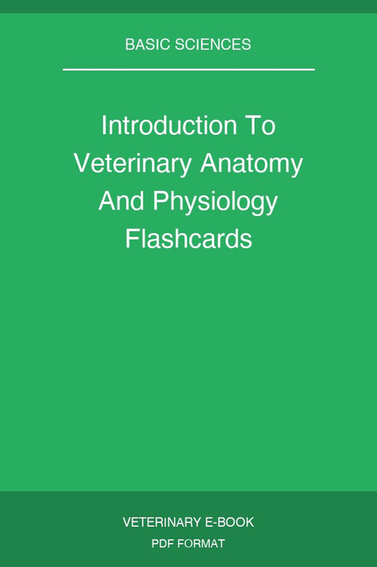 Introduction To Veterinary Anatomy And Physiology Flashcards