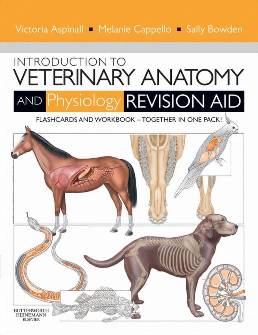 Introduction To Veterinary Anatomy And Physiology Flashcards
