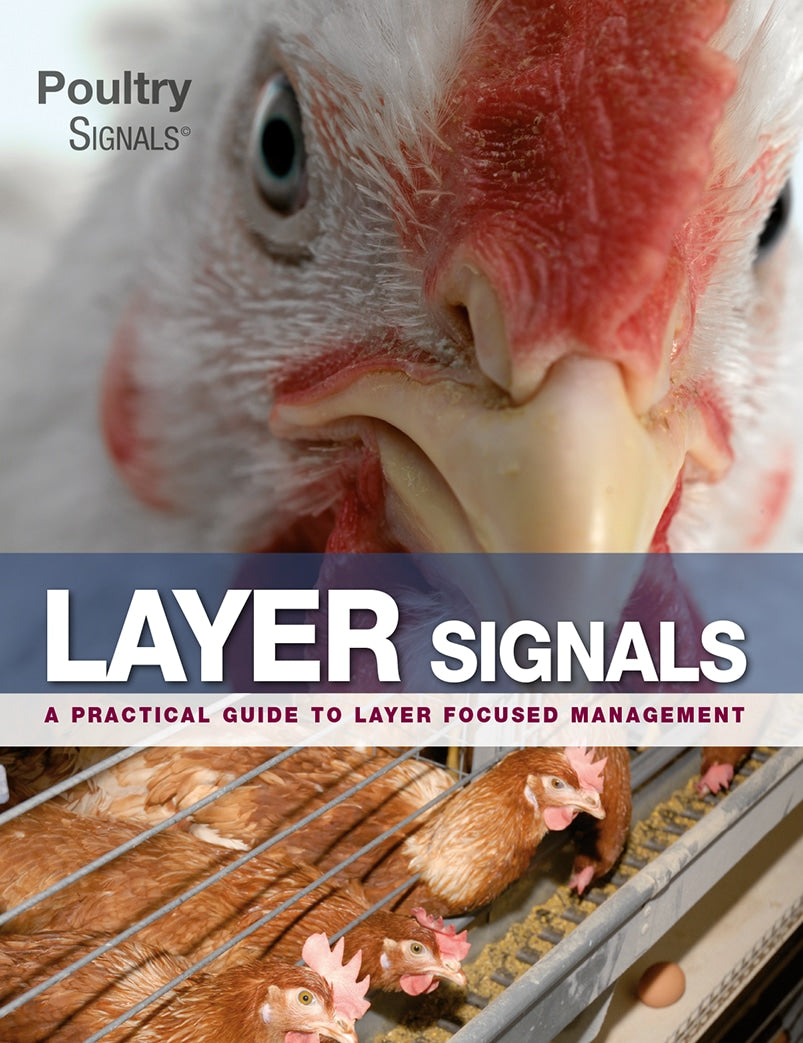 Layer Signals A Practical Guide To Layer Focused Management