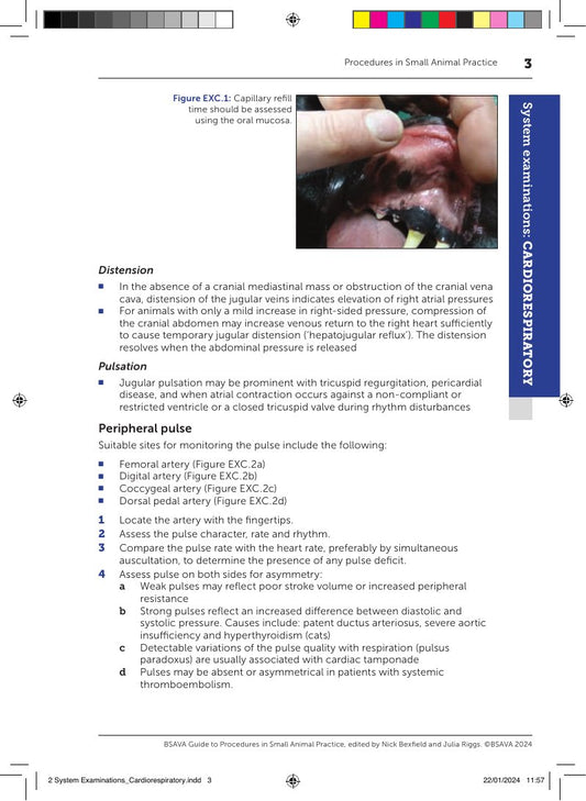 Look Inside page 10 - Bsava Guide To Procedures In Small Animal Practice 3Rd Edition