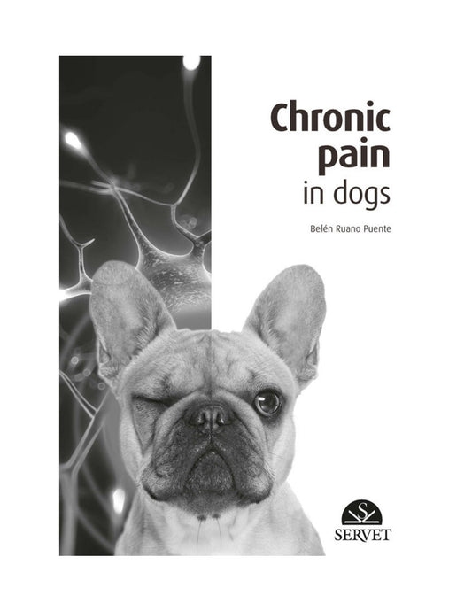 Look Inside page 5 - Chronic Pain In Dogs