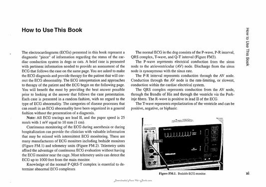 Look Inside page 10 - Ecg Interpretation In The Critically Ill Dog And Cat