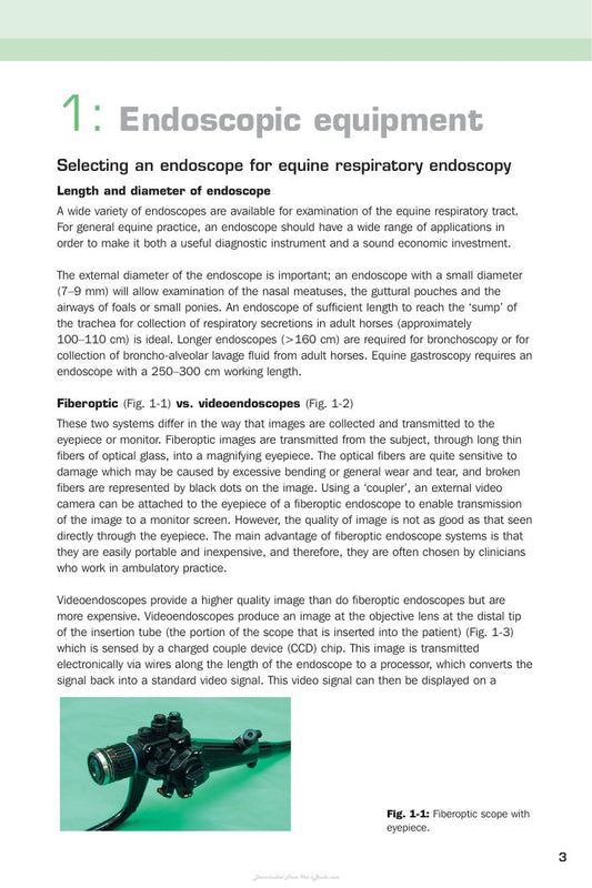 Look Inside page 6 - Handbook Of Equine Respiratory Endoscopy