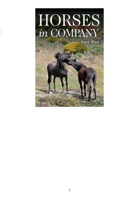Look Inside page 2 - Horses In Company
