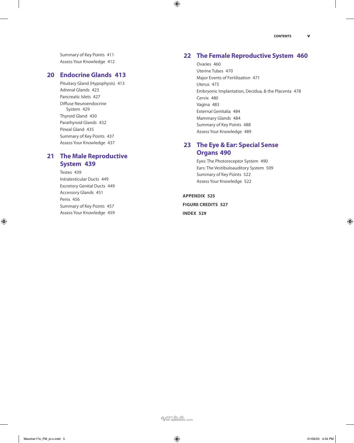 Look inside page 6