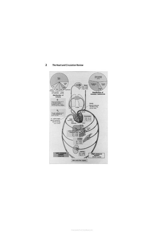 Look Inside page 5