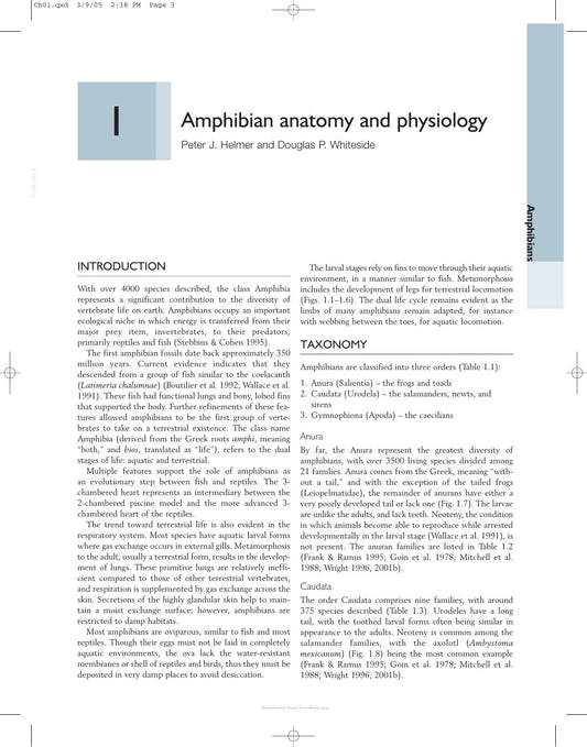 Look Inside page 5