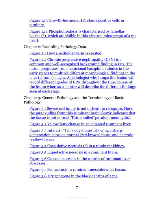 Look Inside page 7
