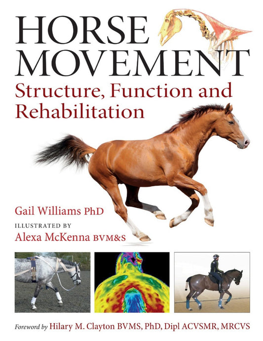 Horse Movement Structure Function And Rehabilitation