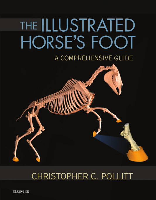 The Illustrated Horses Foot A Comprehensive Guide