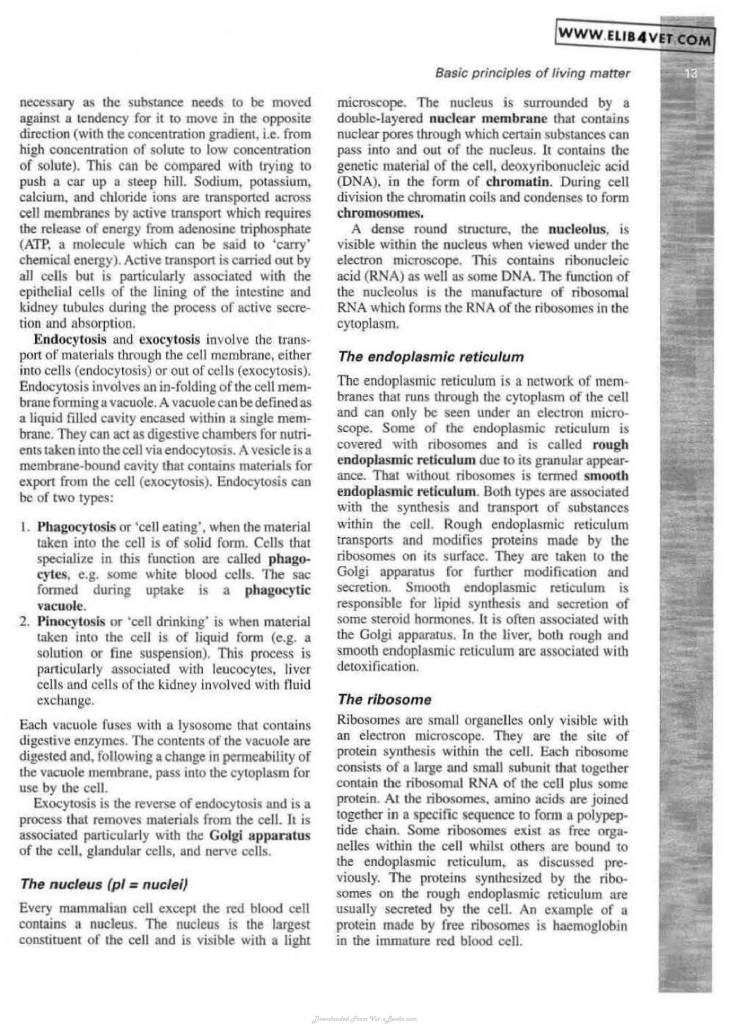 Veterinary Physiology And Applied Anatomy A Textbook For Veterinary Nurses And Technicians