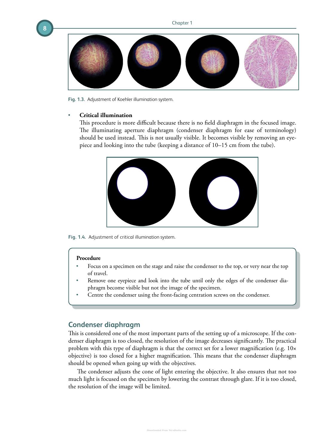 Differential Diagnosis In Small Animal Cytology