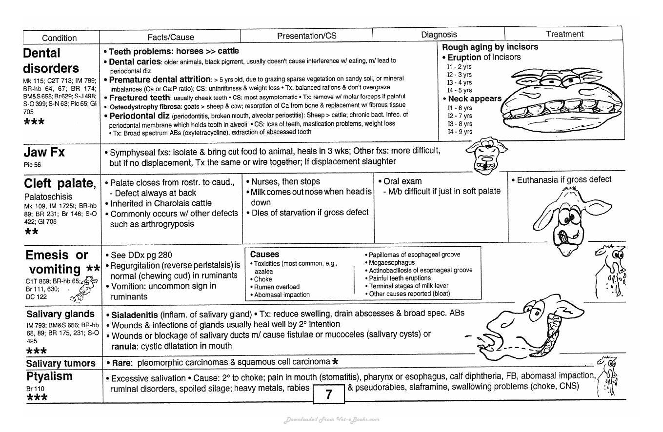 Guide To Bovine Clinics 4Th Edition