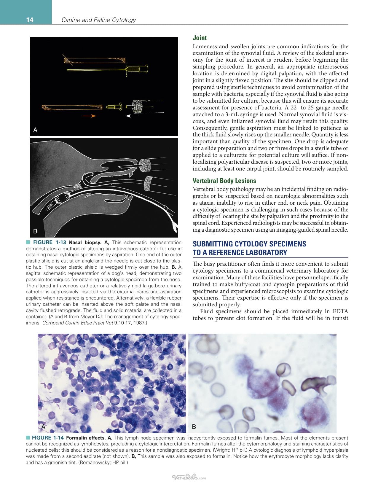 Canine And Feline Cytology A Color Atlas And Interpretation Guide 3Rd Edition