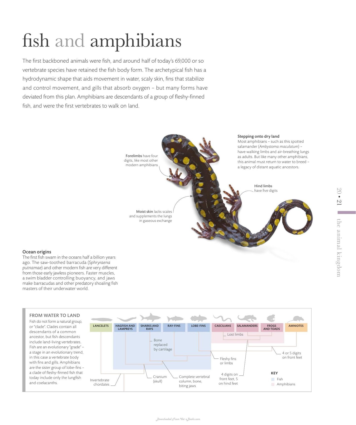 The Science Of Animals Inside Their Secret World