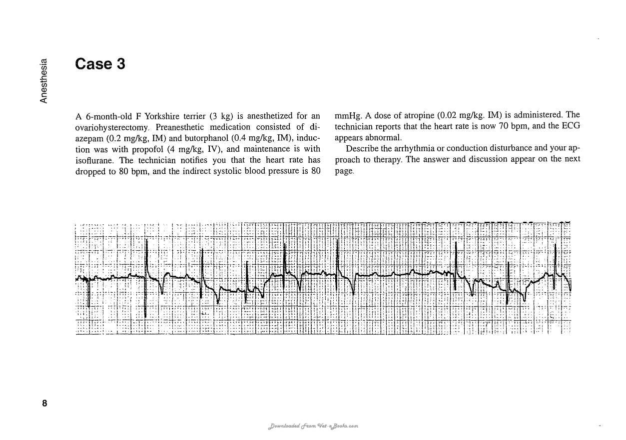 Ecg Interpretation In The Critically Ill Dog And Cat