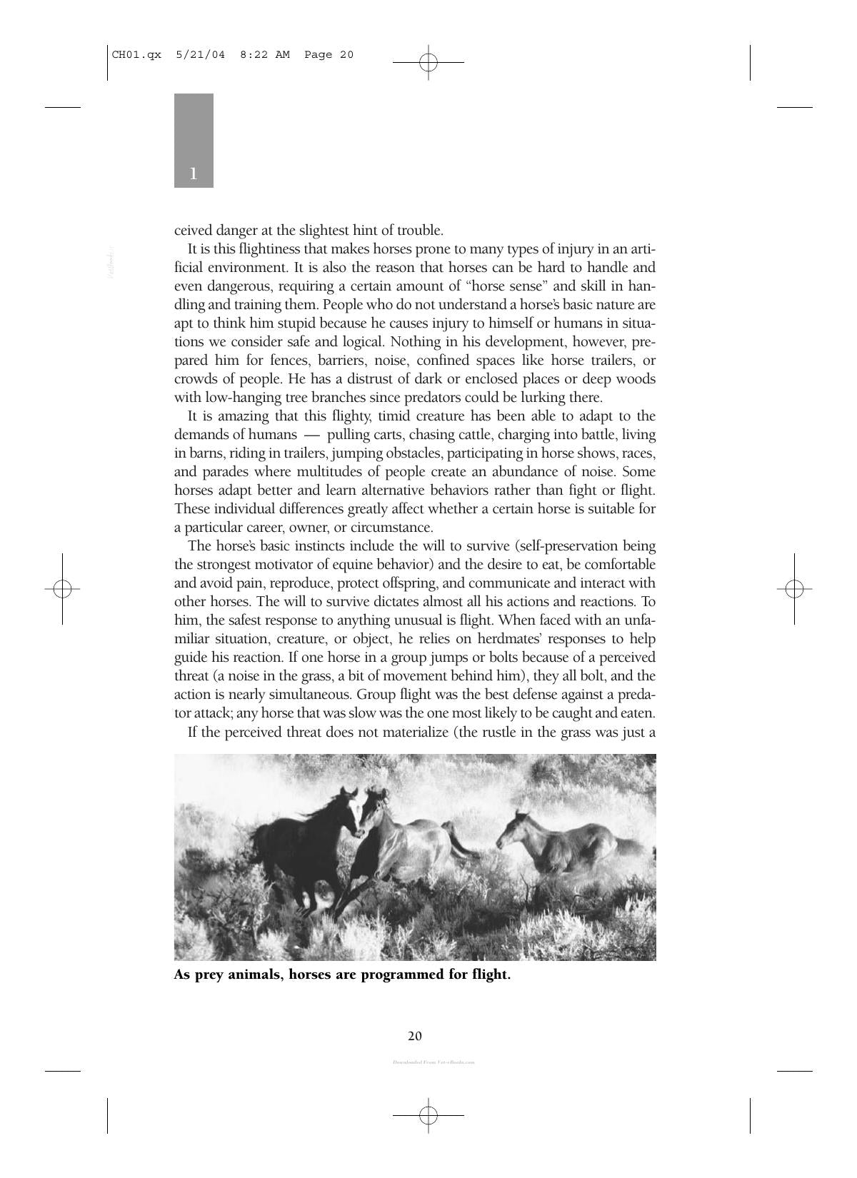 Care And Management Of Horses A Practical Guide For The Horse Owner