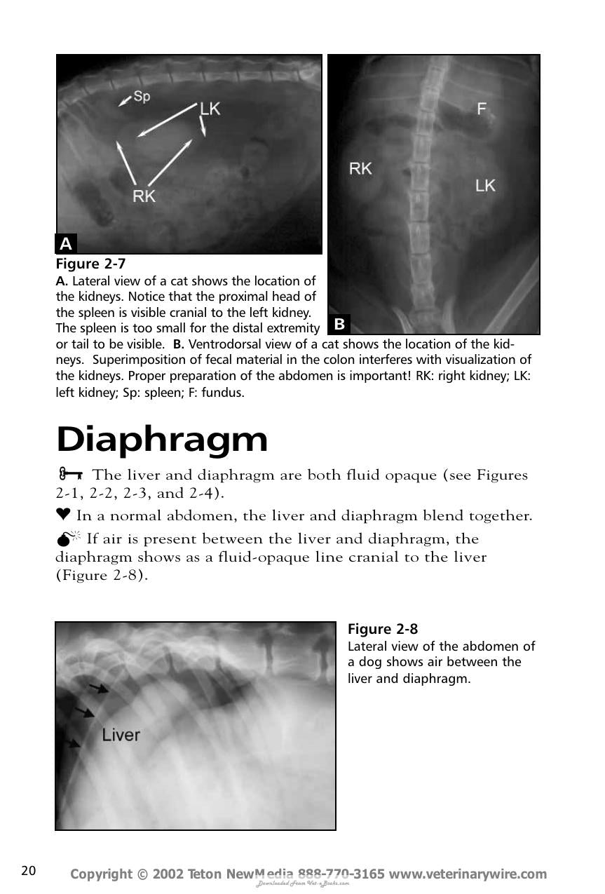Look inside — page 21