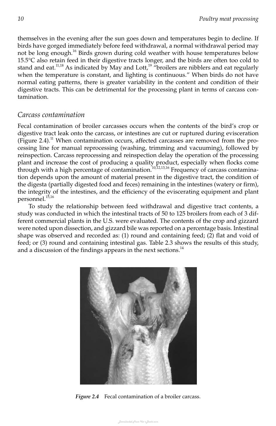 Poultry Meat Processing