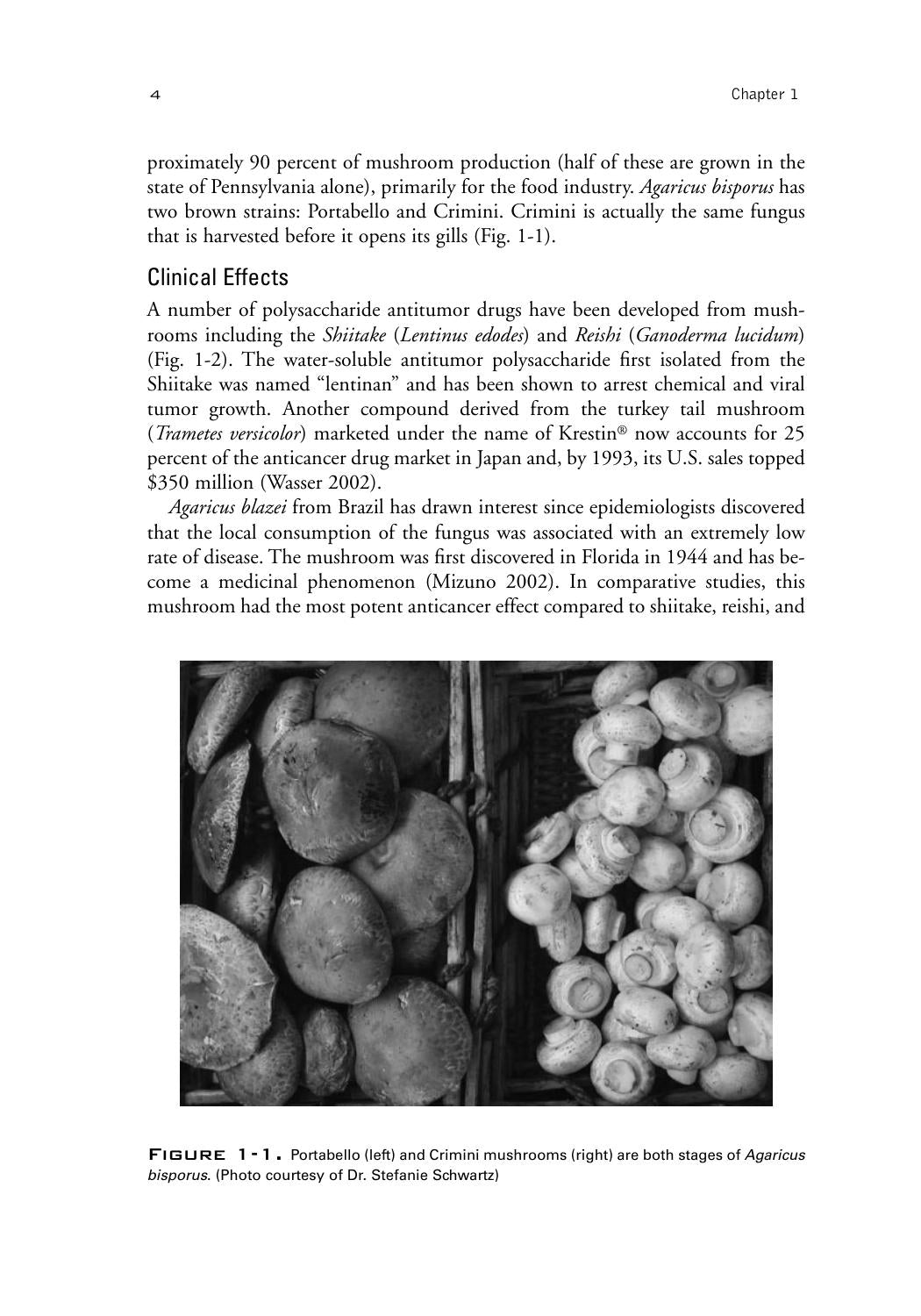 Psychoactive Herbs In Veterinary Behavior Medicine
