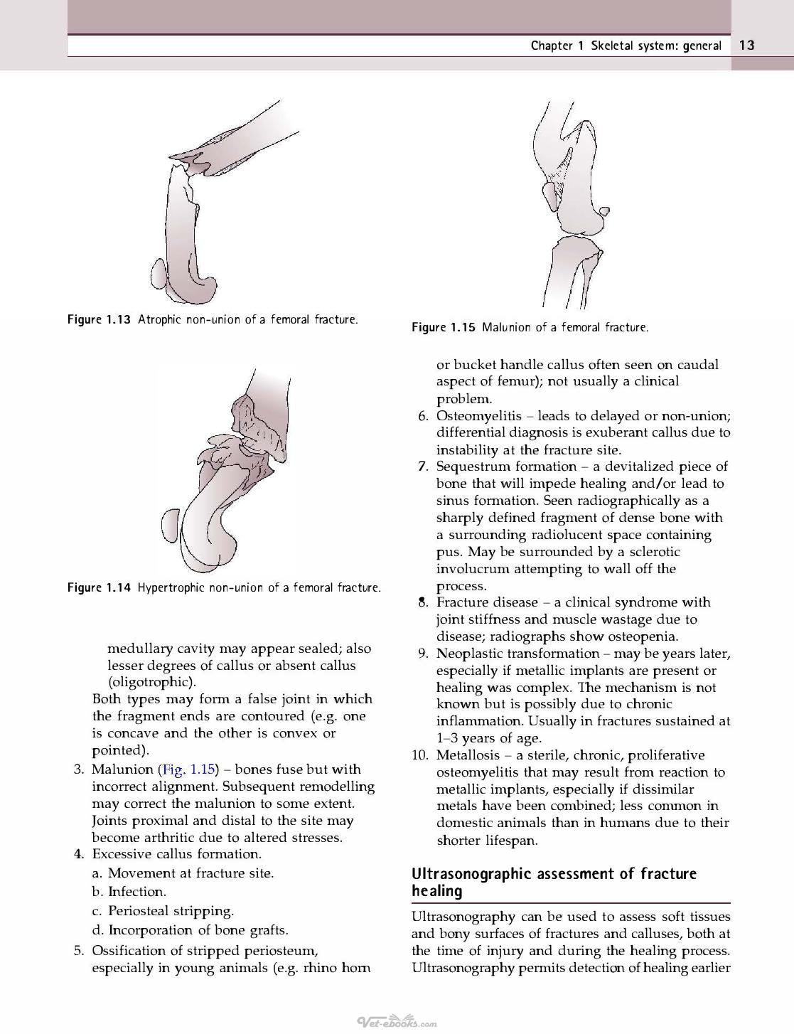 Look inside — page 21