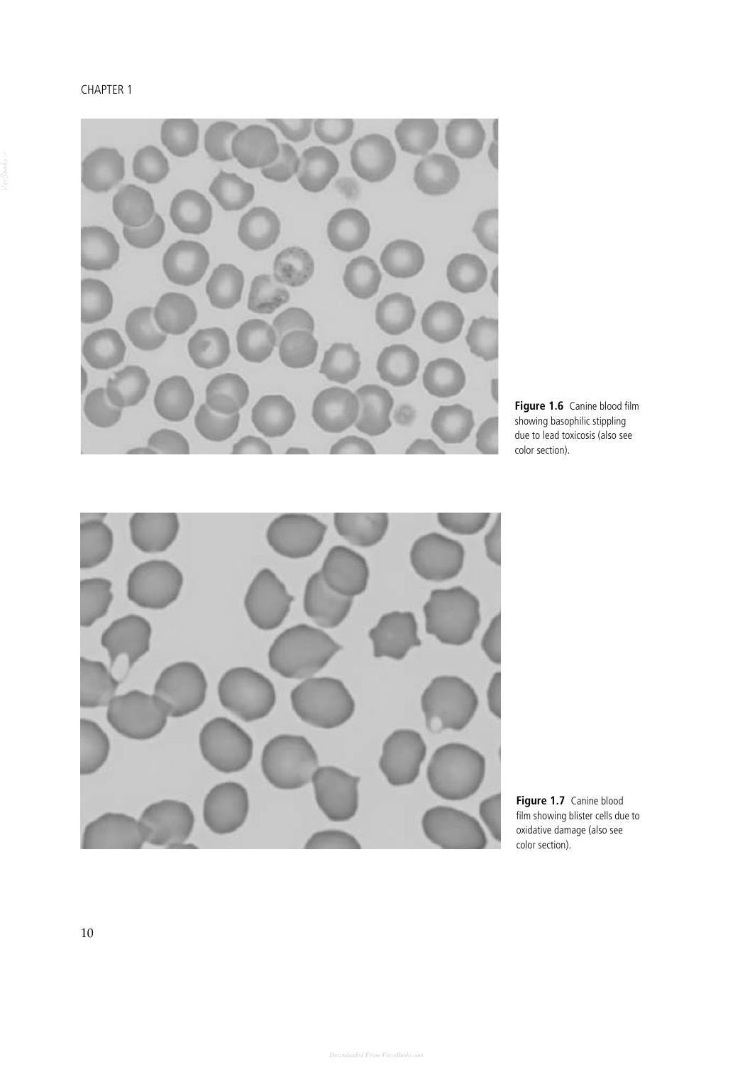 Look inside — page 21