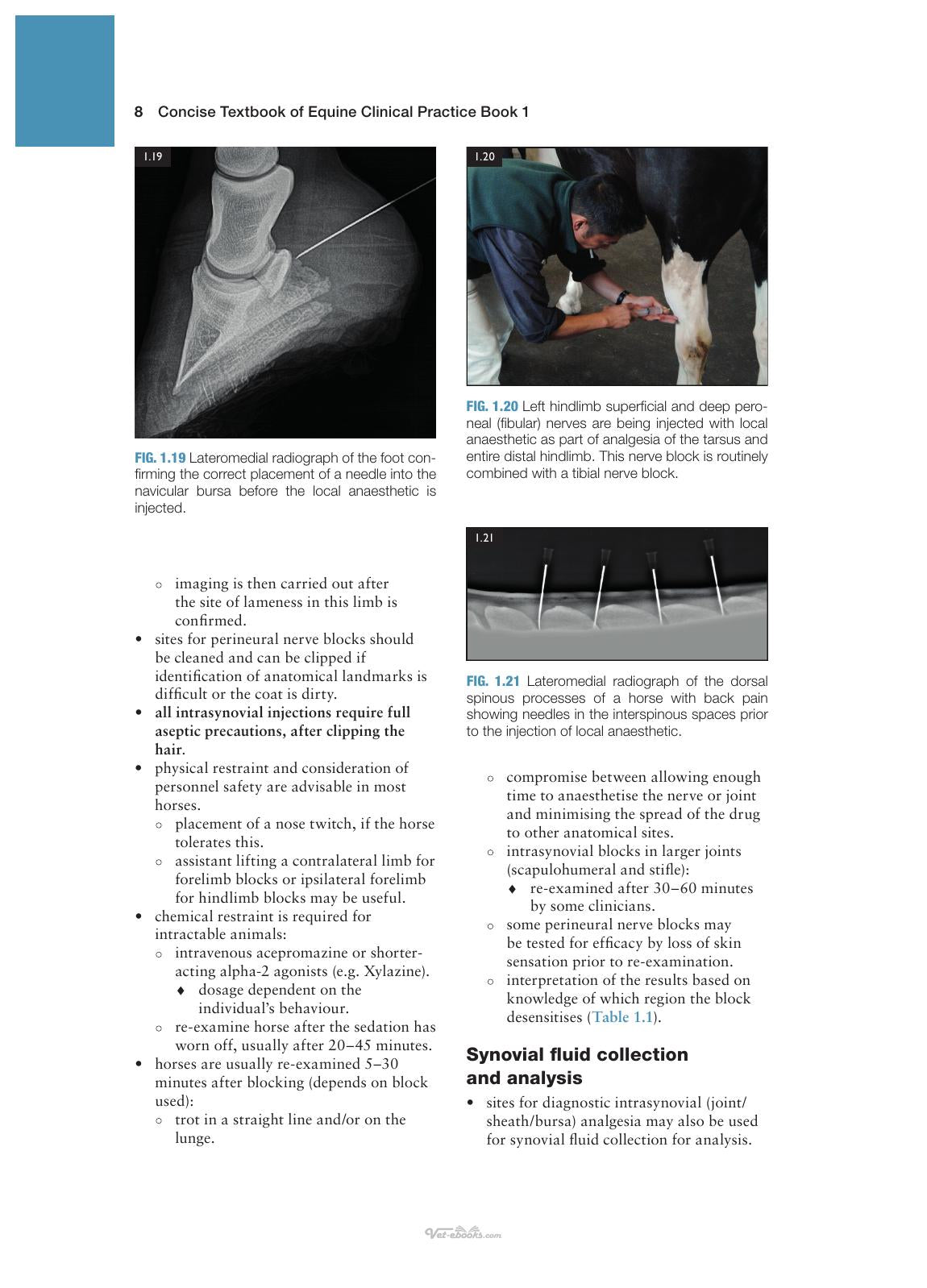 Concise Textbook Of Equine Clinical Practice Book 1 Lameness