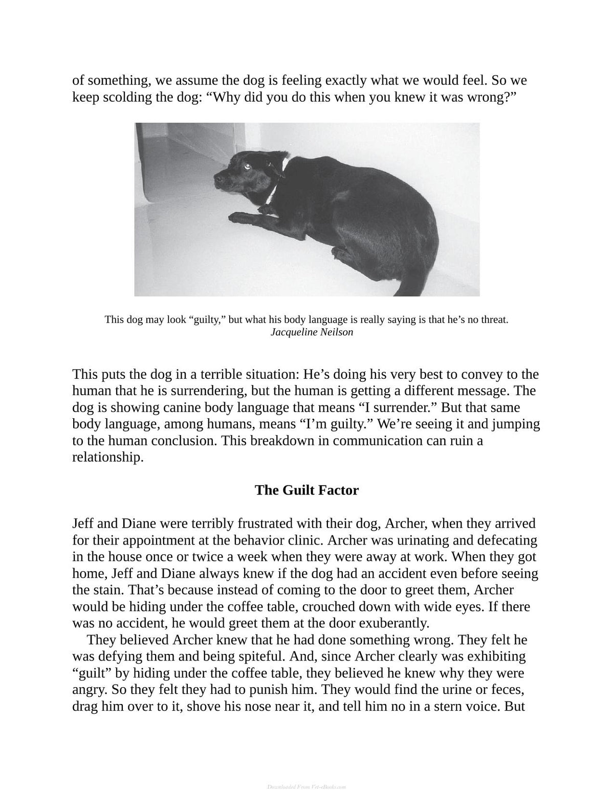 Decoding Your Dog