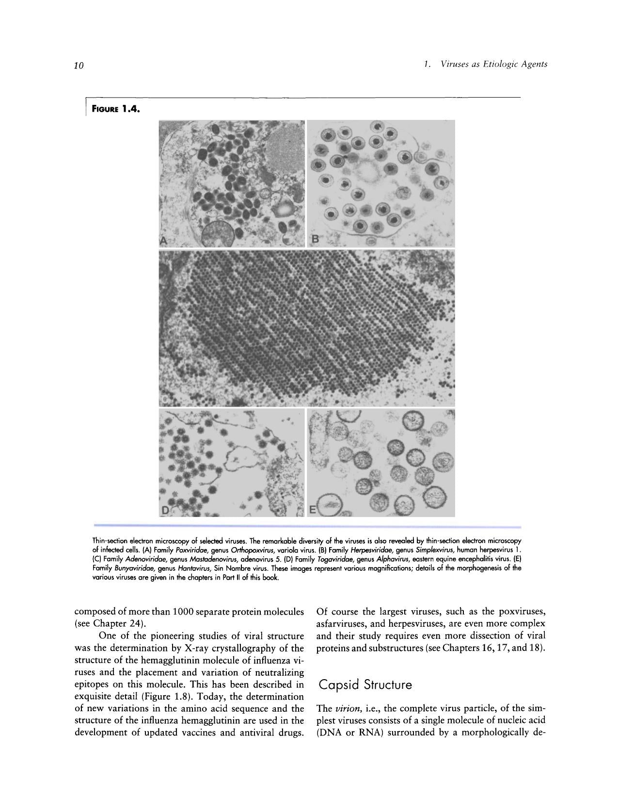Veterinary Virology 3Rd Edition